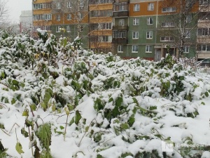 Нижегородский портал «Антиснег» активизировался после первых зимних осадков
