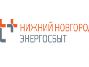 Нижегородский филиал ЭнергосбыТ Плюс совместно со службой судебных приставов в марте проверили более 150 должников Дзержинска и Кстова