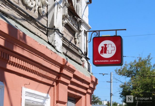 Здесь будет IT-квартал: как выглядит площадка под КРТ в центре Нижнего Новгорода - фото 6