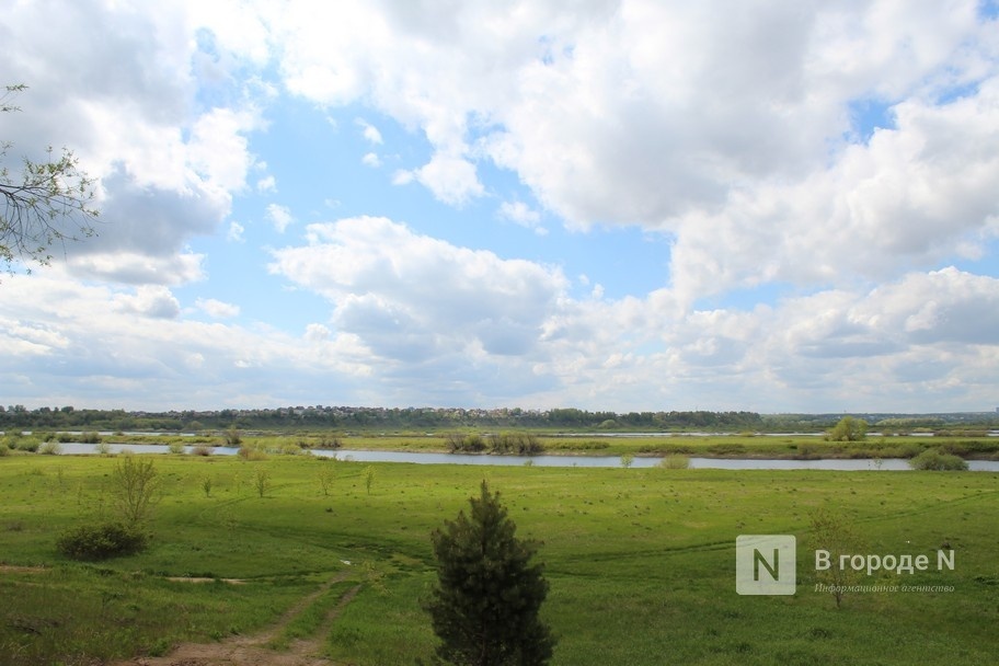 Национальный парк &laquo;Нижегородское Поволжье&raquo; займет 65 тысяч га - фото 1