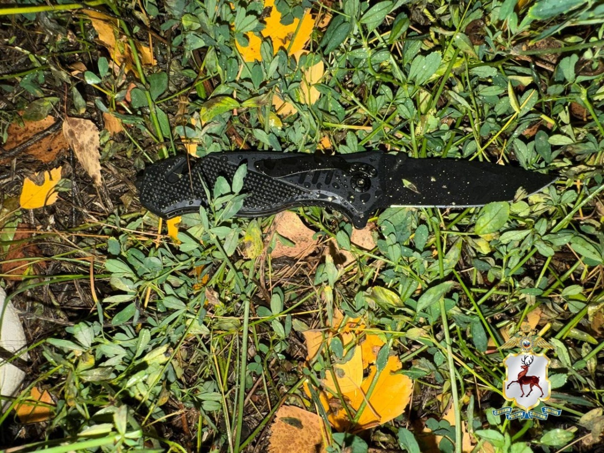 Мужчину отдали под суд за убийство женщины в Нижнем Новгороде - фото 1