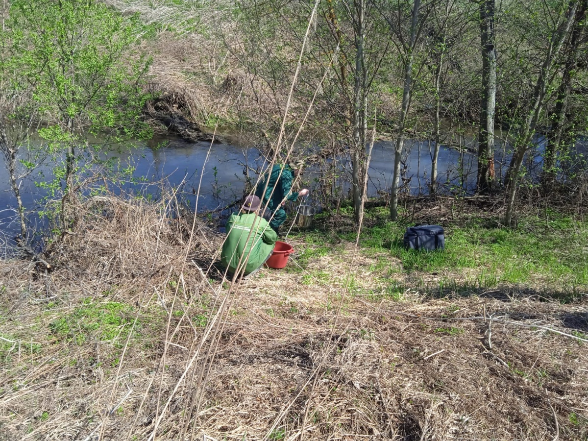 Спиртзавод сбрасывает отходы в речку в Воротынском округе - фото 1