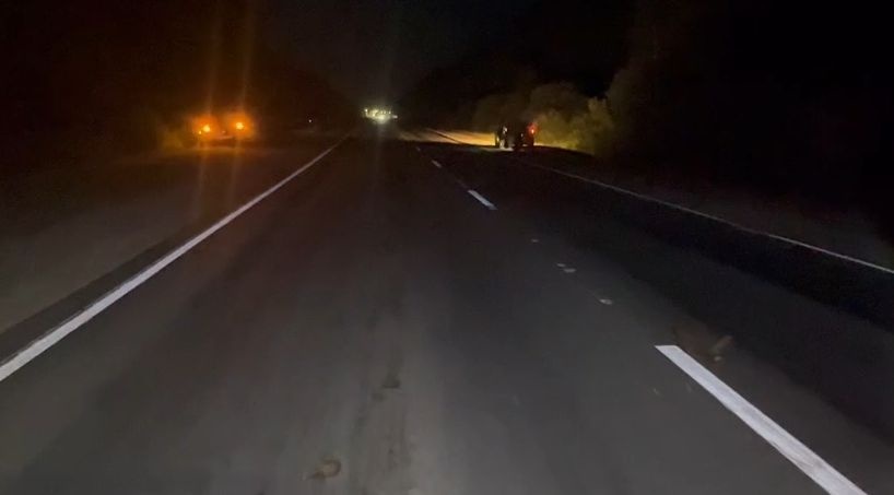 17-летняя девушка пострадала в жестком ДТП с лосем в Нижегородской области - фото 1