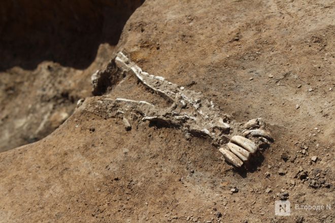 Опубликованы фото с места археологических раскопок под Вачей - фото 13