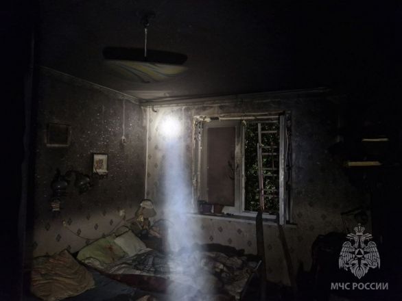 Двое 88-летних нижегородцев погибли в страшном пожаре из-за электрокамина - фото 2