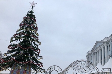 Главную новогоднюю елку Нижнего Новгорода установят 8 декабря