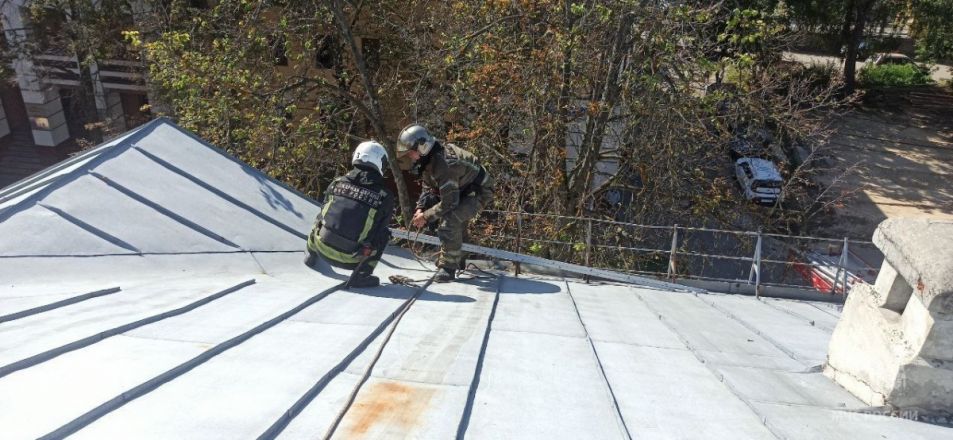 Пожарные сняли девушку с крыши дома в центре Нижнего Новгорода - фото 1