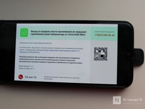 Почти 6 млн QR-кодов на выход из дома получили нижегородцы в апреле