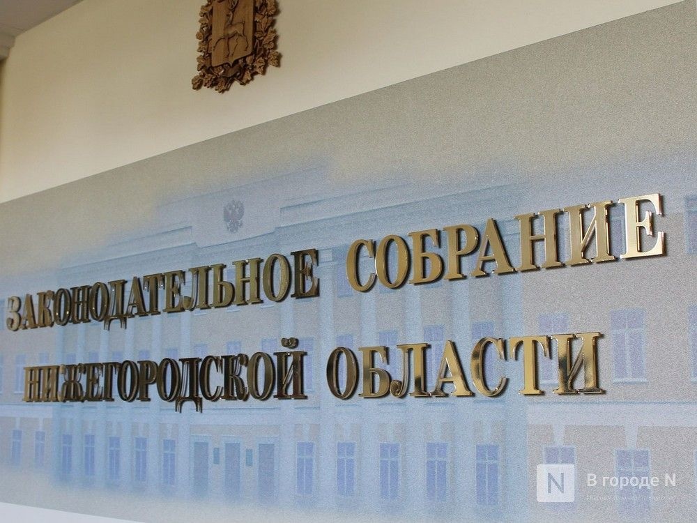 Закон о социальном предпринимательстве принят в Нижегородской области
