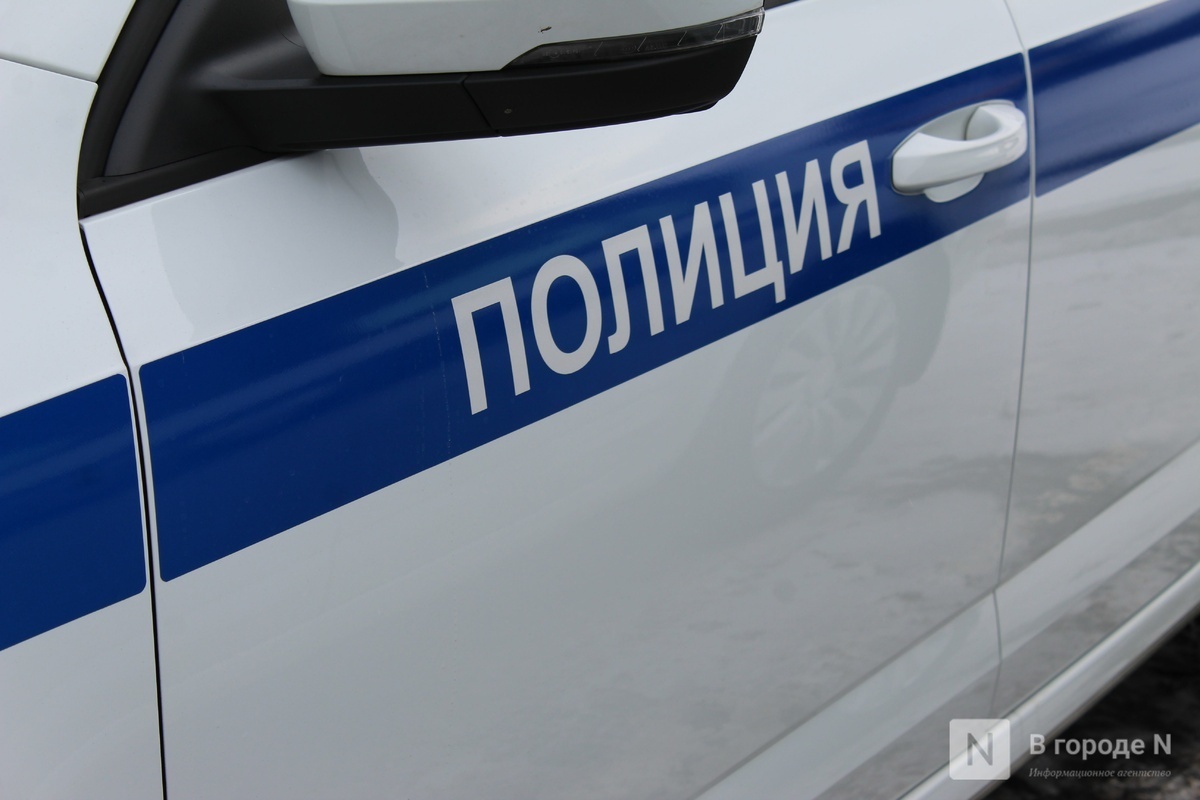 Контрольных постов полиции станет больше в Нижегородской области - фото 1