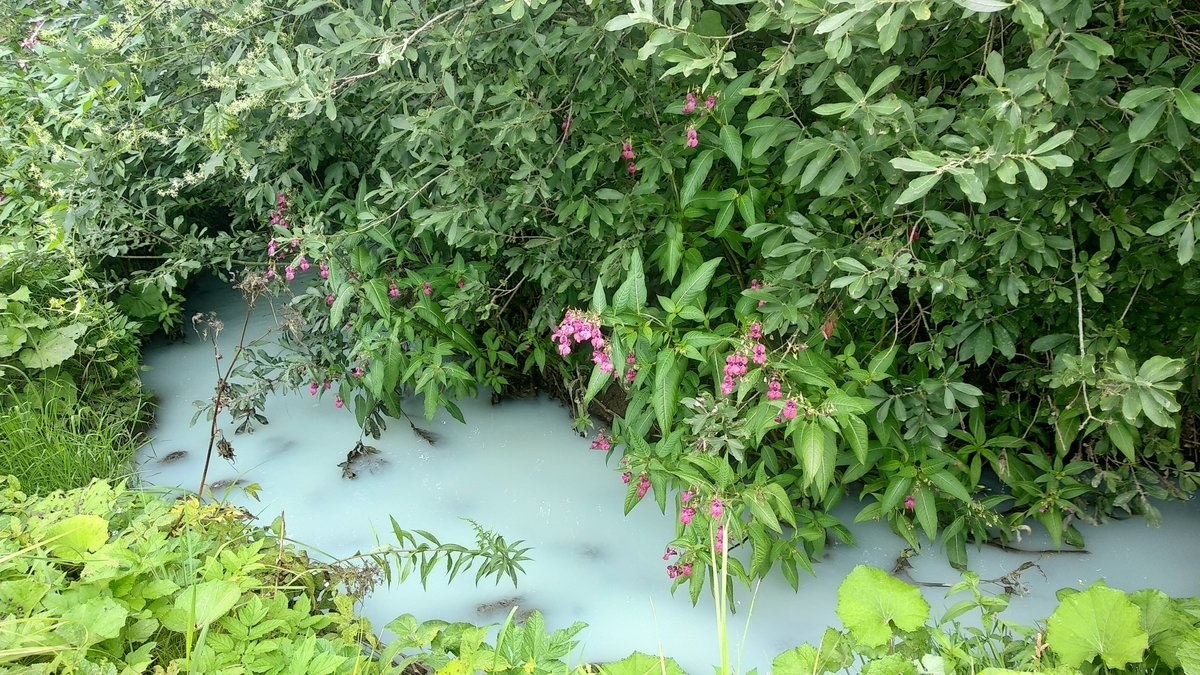 Специалисты Минэкологии определили место, где река Рахма начинает белеть - фото 1
