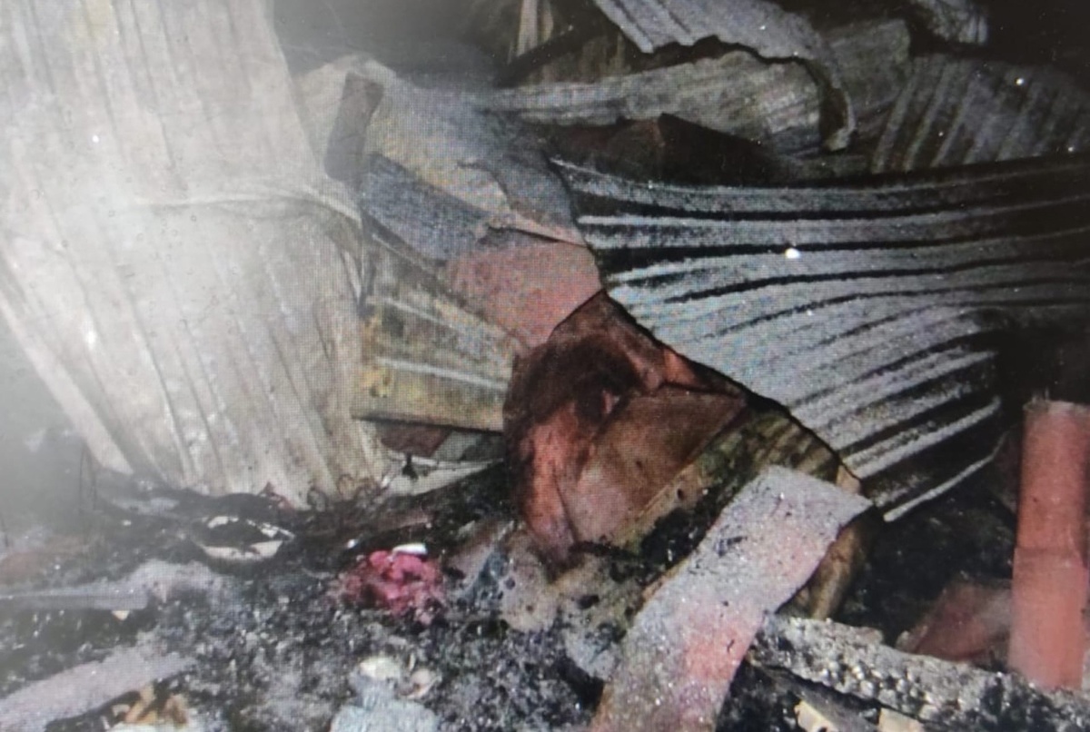 СК заинтересовался смертью пенсионера на пожаре в Вачском районе - фото 1
