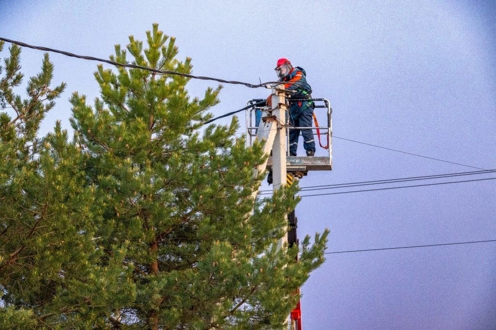 Энергетики напоминают правила электробезопасности при обрезке веток вблизи ЛЭП - фото 1