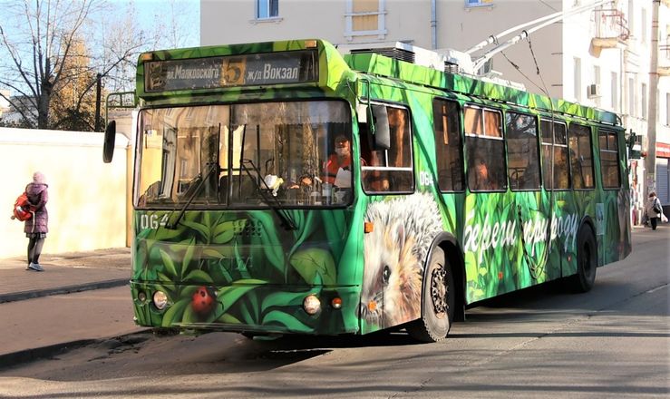 Троллейбус оформленный в экостиле появился в Дзержинске - фото 4