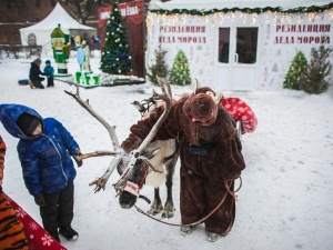 Северного оленя замучили на фотосессиях в Нижнем Новгороде