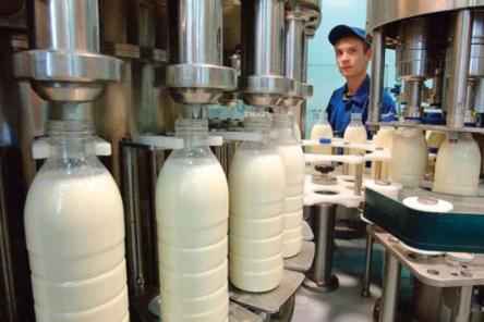 Что скрывают от потребителей производители молочной продукции