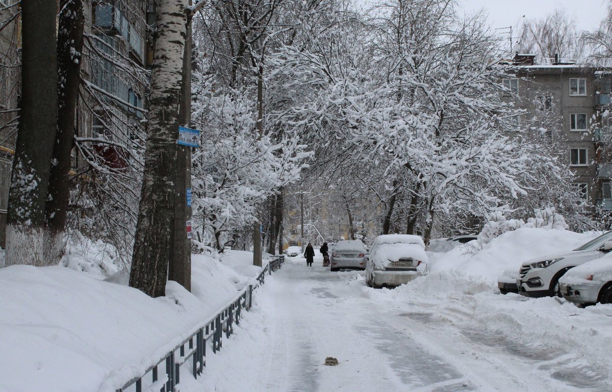 Владимир Панов остался недоволен уборкой снега в Канавинском районе - фото 4