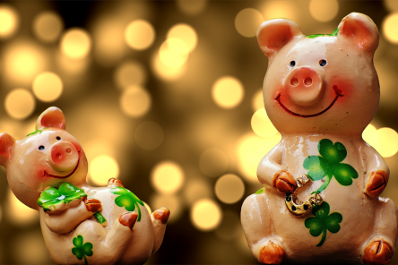 Блюда, которые нельзя готовить на Новый Год Свиньи